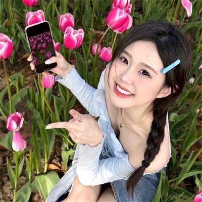 战争姐妹